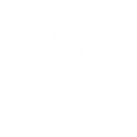Morel